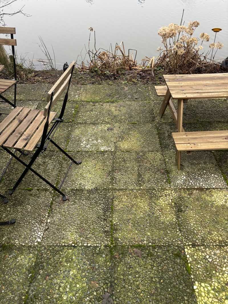 Choose Outdoor Cleaners That Protect Nearby Plants