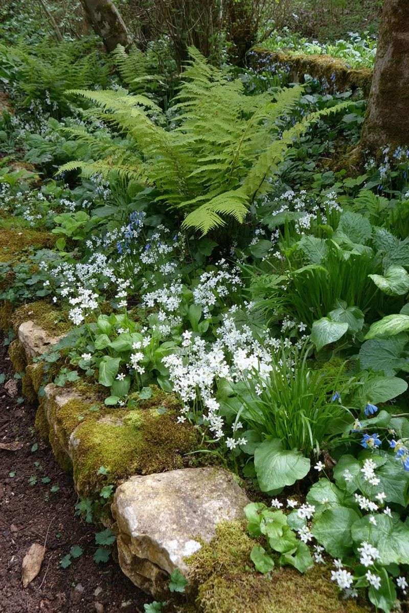 Choose Pale Blooms For Evening Glow