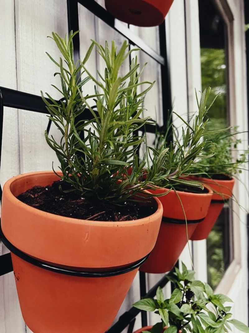 Choose Pots With Drainage Holes Choose Pots With Drainage Holes
