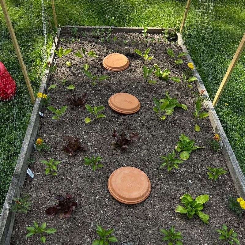 Choose The Right Size For Each Garden Bed