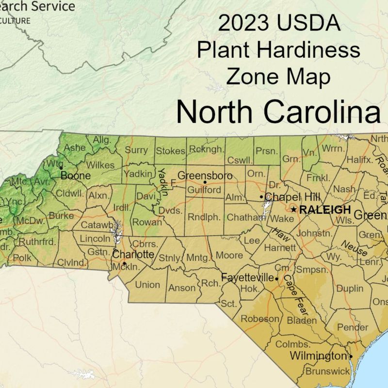 Choose Timing By Region, Not Calendar Alone Choose Timing By Region, Not Calendar Alone