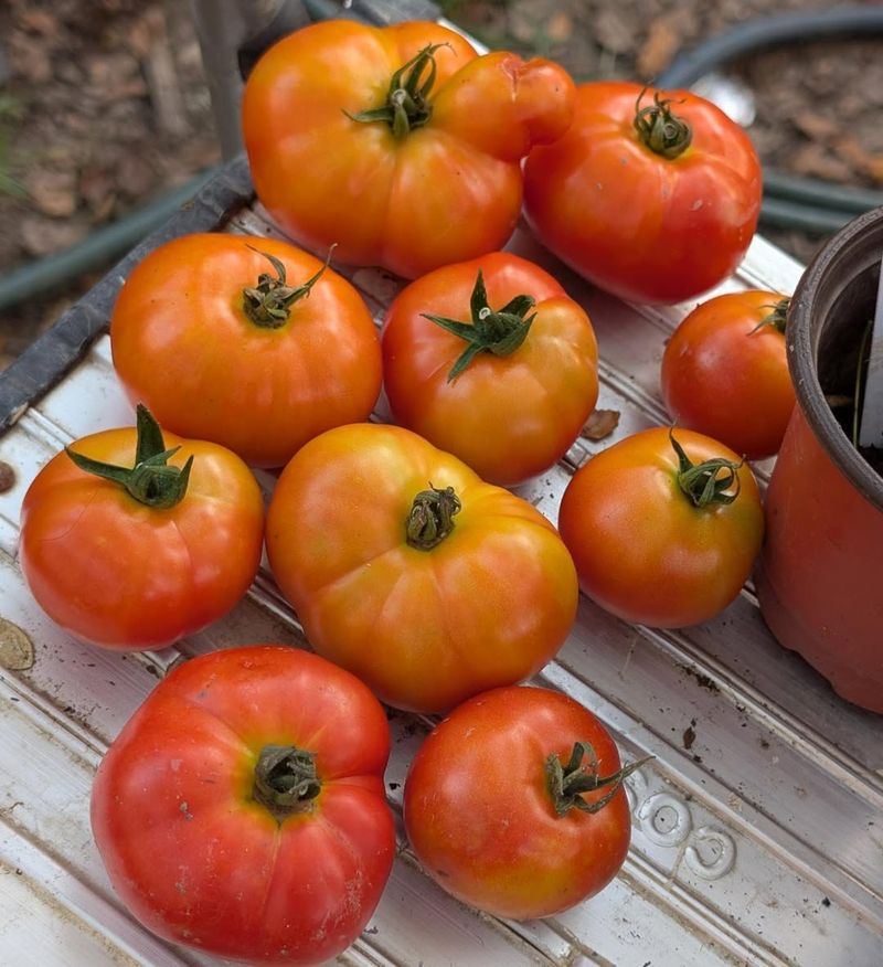 Choose Varieties With Tender Skins
