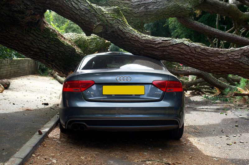 Clarifies Liability For Damage