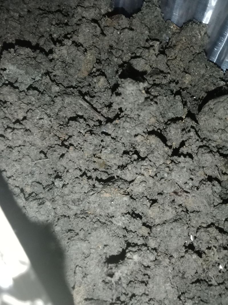 Clay Content Traps Moisture Longer Than Sandy Soil