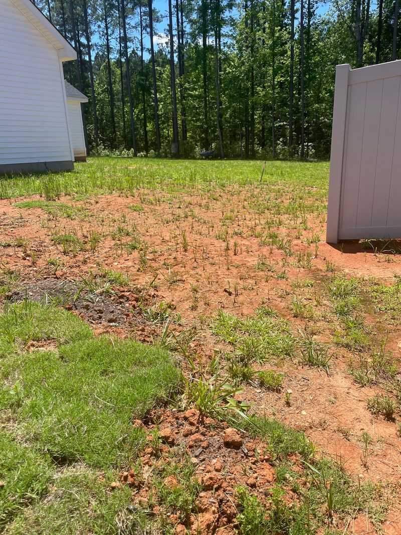 Clay Soil Drains Too Slowly Clay Soil Drains Too Slowly