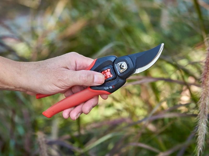 Clean Snips Keep Stems From Tearing