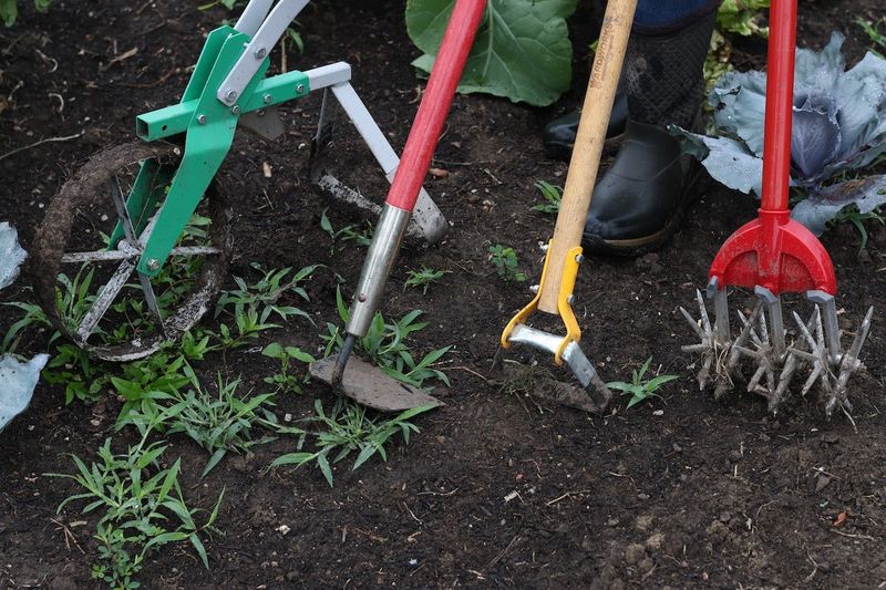 Clean Tools Before Weed Seeds Hitchhike