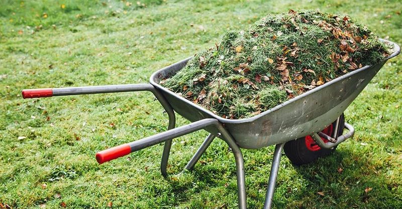 Clear Away Leaves And Other Yard Debris Clear Away Leaves And Other Yard Debris