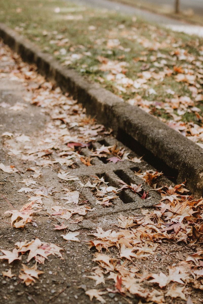 Clear Drainage Paths Before The Rain Starts Clear Drainage Paths Before The Rain Starts