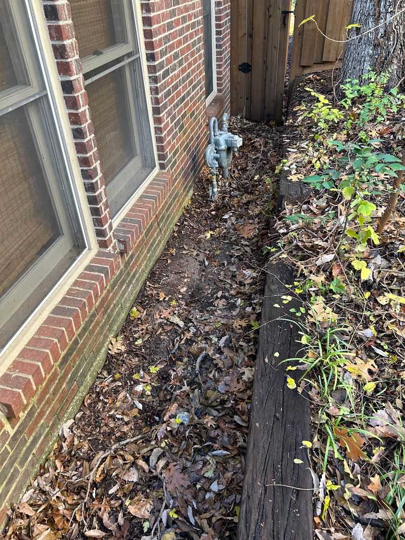Clear Leaf Litter Before Roaches Settle In Clear Leaf Litter Before Roaches Settle In