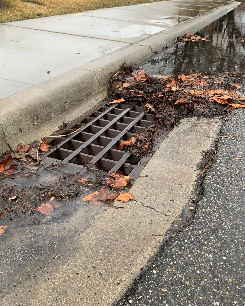 Clear Leaves And Debris From Drainage Openings