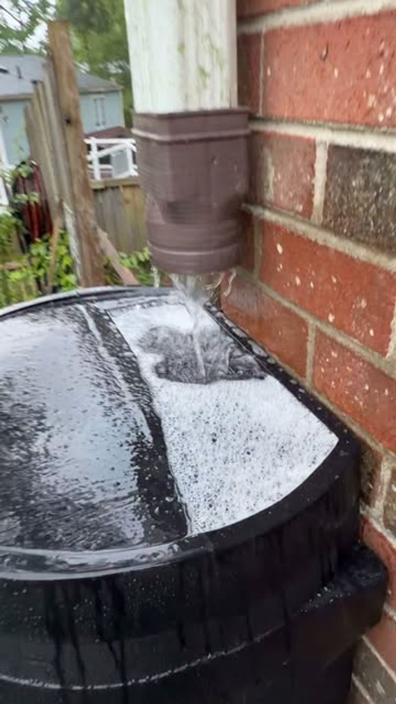 Clear The Screen And Gutters Before Rain Arrives