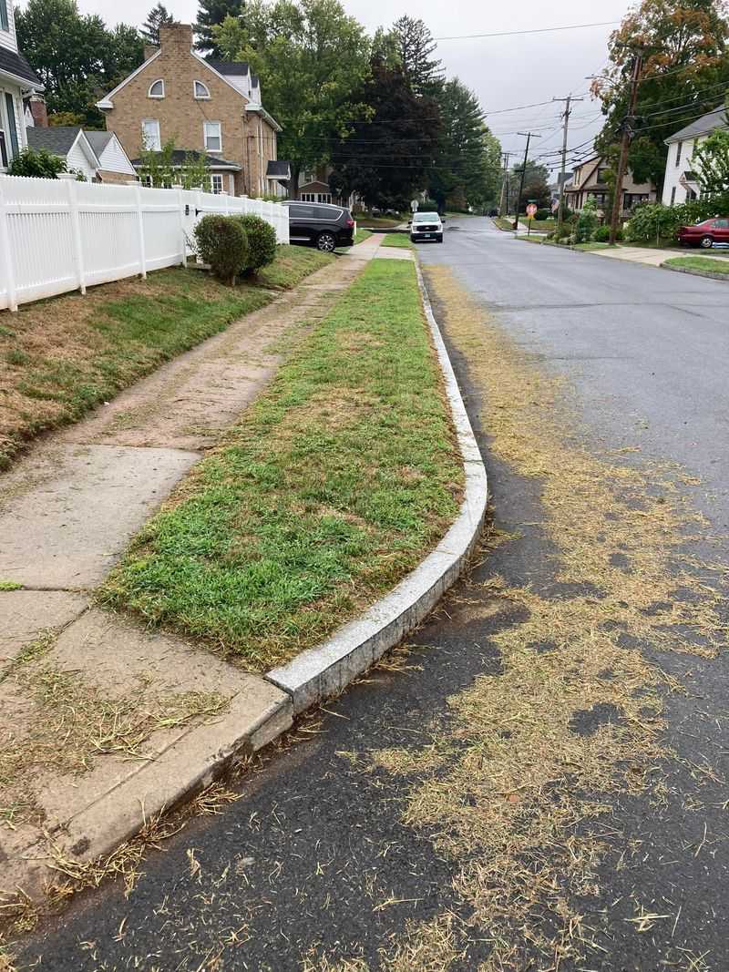 Clippings Can Wash Into Storm Drains Clippings Can Wash Into Storm Drains