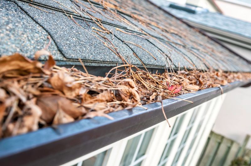 Clogged Gutters Full Of Debris Clogged Gutters Full Of Debris