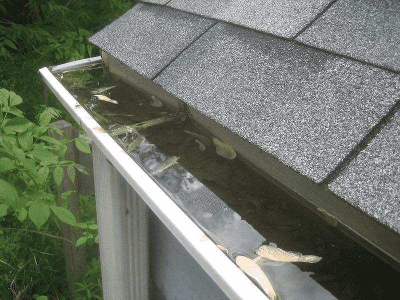 Clogged Gutters Hold Water After Storms Clogged Gutters Hold Water After Storms