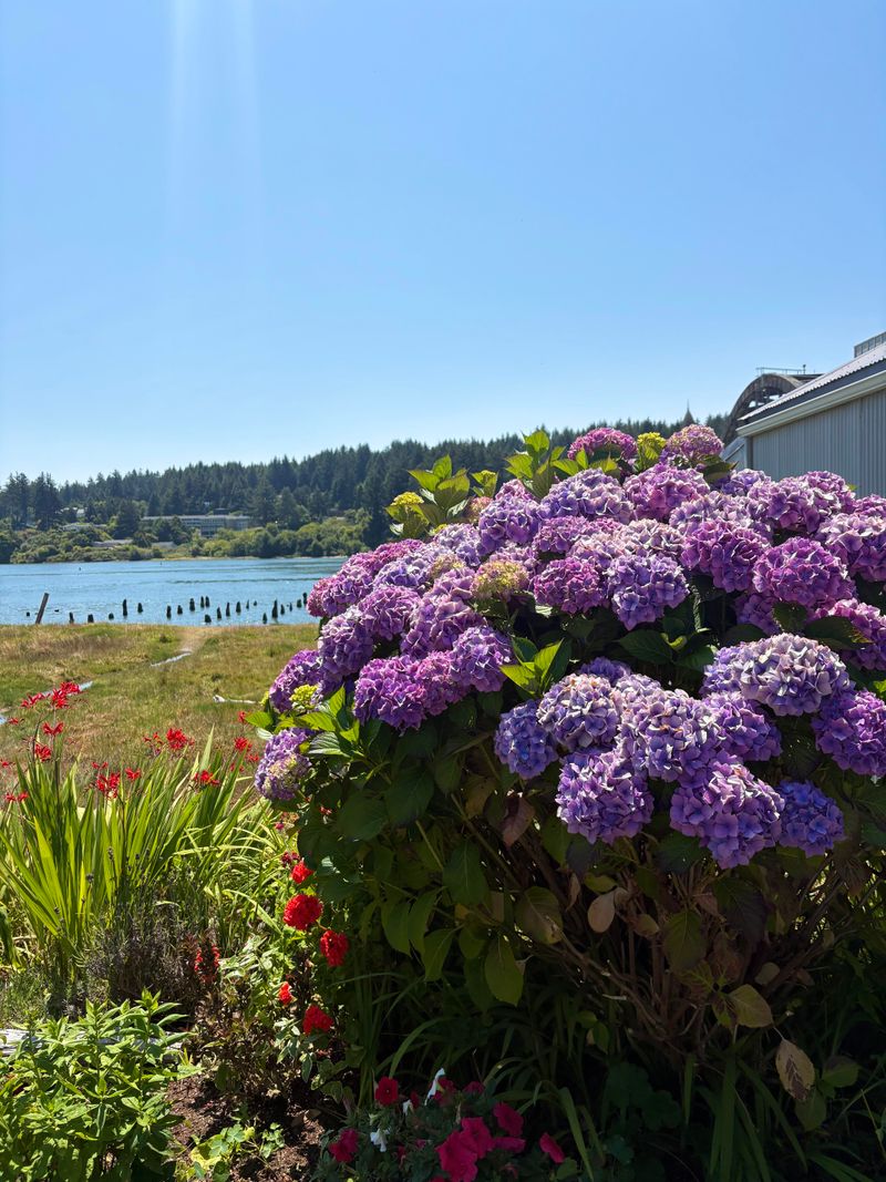 Coast: Watch Wind, Salt, And Mildew