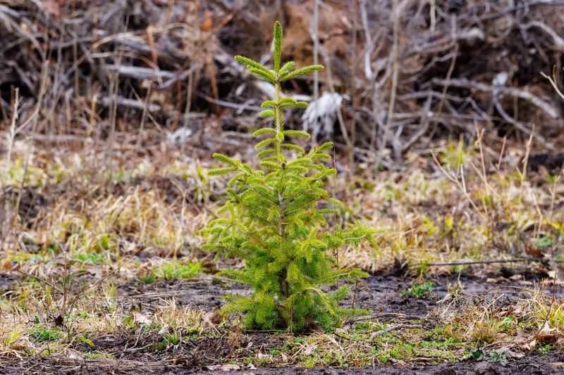 Common Mistakes That Slow Down Growth Common Mistakes That Slow Down Growth