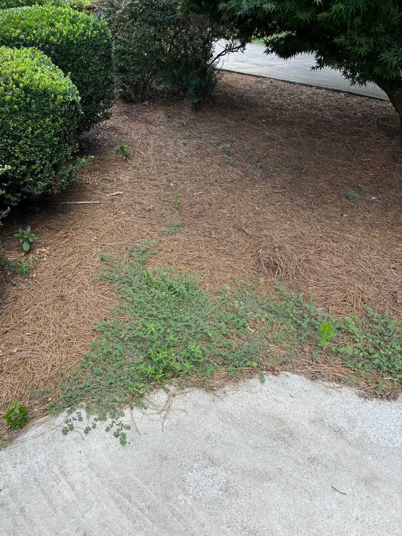 Common Spots Where Coverage Thins Out Fastest