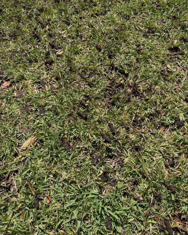 Compaction Makes The Root Problem Worse Compaction Makes The Root Problem Worse