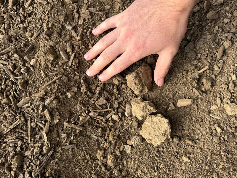 Compost Helps Sandy Soil Hold Moisture Longer Compost Helps Sandy Soil Hold Moisture Longer