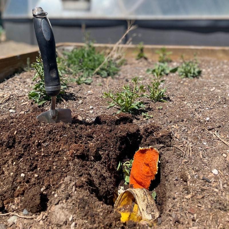 Compost Helps Soil Hold Moisture Longer Compost Helps Soil Hold Moisture Longer
