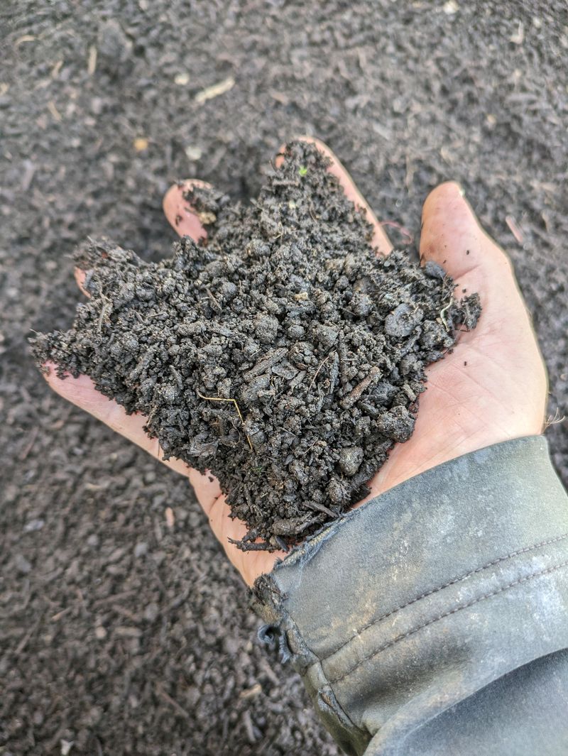 Compost Improves The Structure Of Heavy Soil Compost Improves The Structure Of Heavy Soil