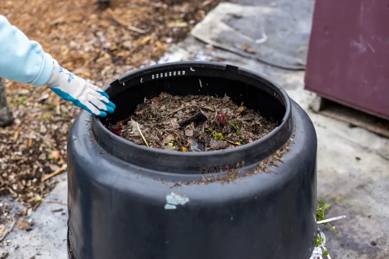 Compost Needs Less Access And More Structure Compost Needs Less Access And More Structure