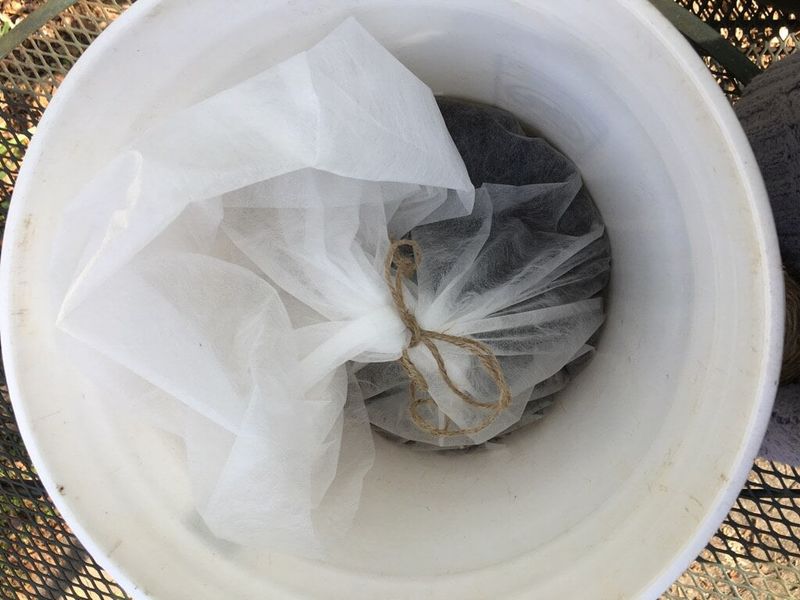 Compost Tea Gives A Mild Boost