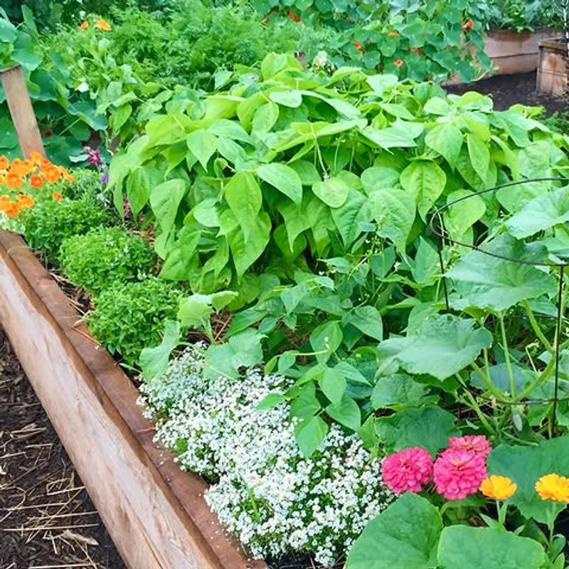 Concentrated Nutrients Can Stress Active Plants Concentrated Nutrients Can Stress Active Plants