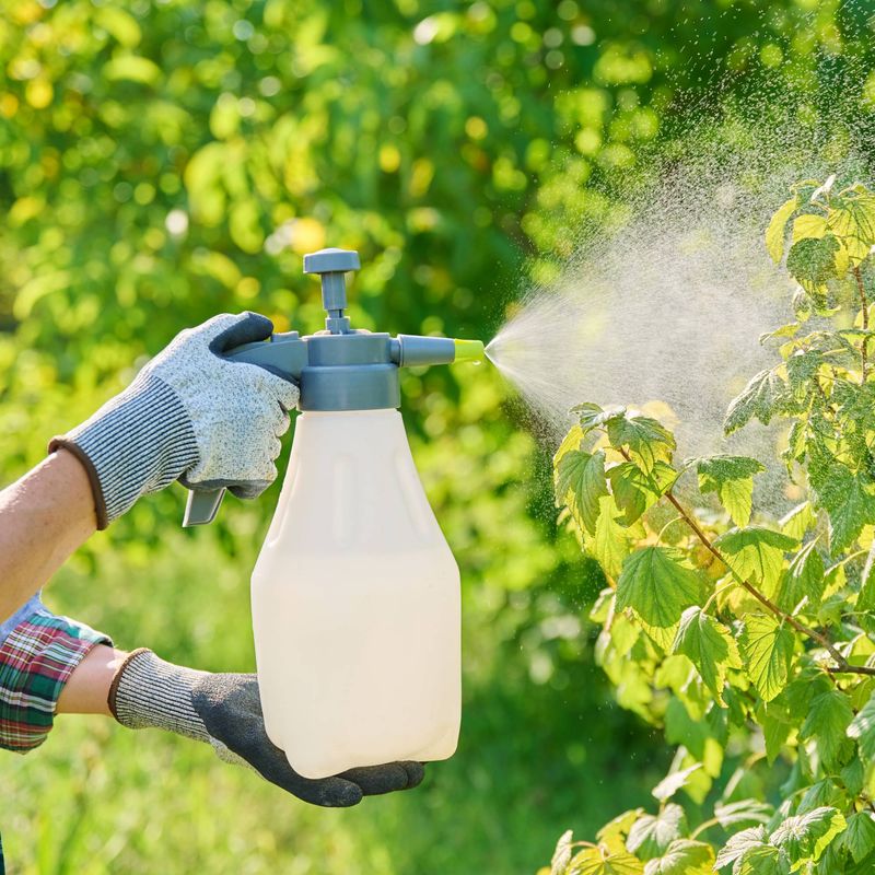 Confirm The Disease Before Reaching For Fungicide