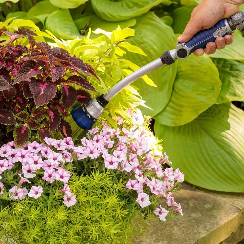 Consistent Watering Keeps Plants Healthier Consistent Watering Keeps Plants Healthier