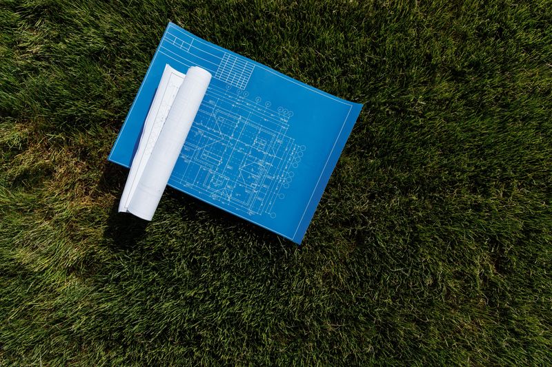 Consulting Local Codes Before Planting