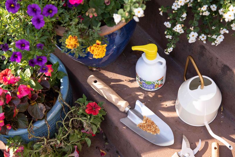 Container Plants Need Gentler Feeding