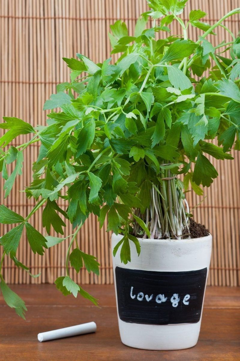 Containers May Help Gardeners Test The Right Spot Containers May Help Gardeners Test The Right Spot