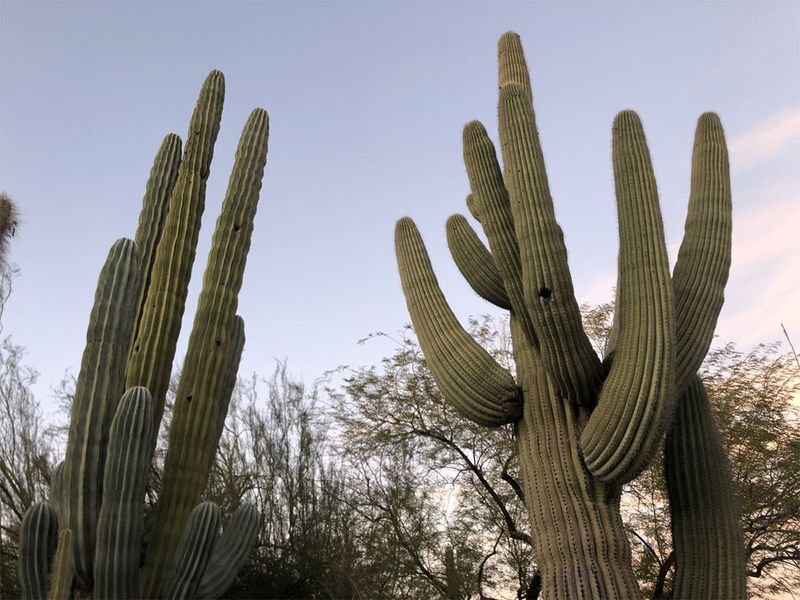 Continue Monitoring Through Extreme Heat