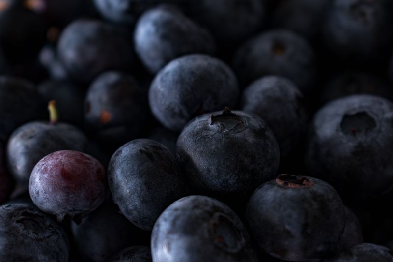 Cooler Nights Improved Berry Flavor Cooler Nights Improved Berry Flavor