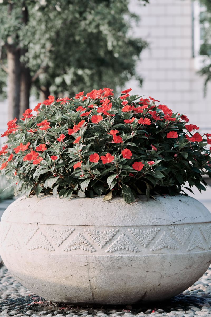 Cover It With A Large Decorative Planter On Top