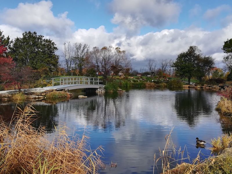 Cox Arboretum Makes Heat Feel Worth It Cox Arboretum Makes Heat Feel Worth It