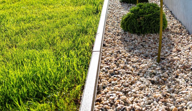 Create A Clean Border Between Woods And Lawn Create A Clean Border Between Woods And Lawn