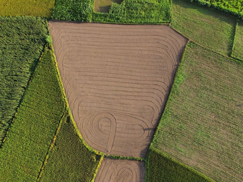Crop Rotation Reduces Soil-Borne Disease Crop Rotation Reduces Soil-Borne Disease