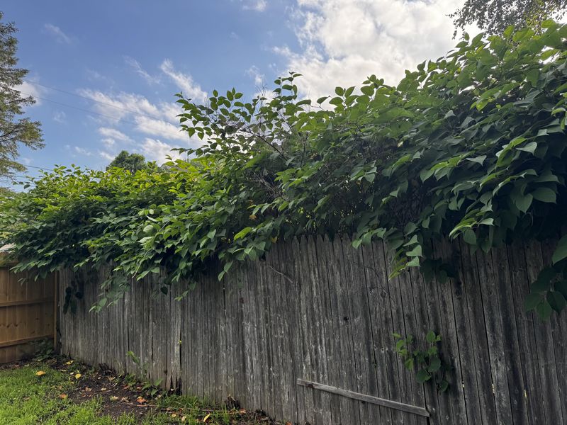 Crossing The Property Line Changes Things Crossing The Property Line Changes Things