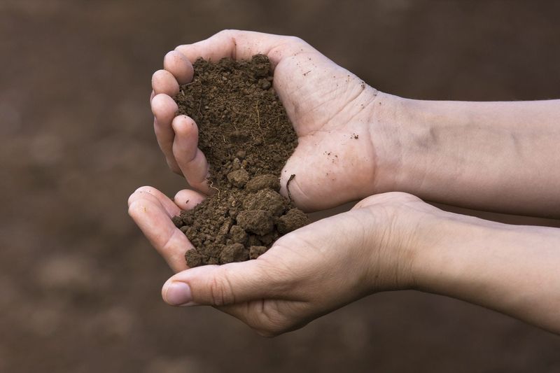 Crumbly Texture Means Roots Can Breathe Crumbly Texture Means Roots Can Breathe