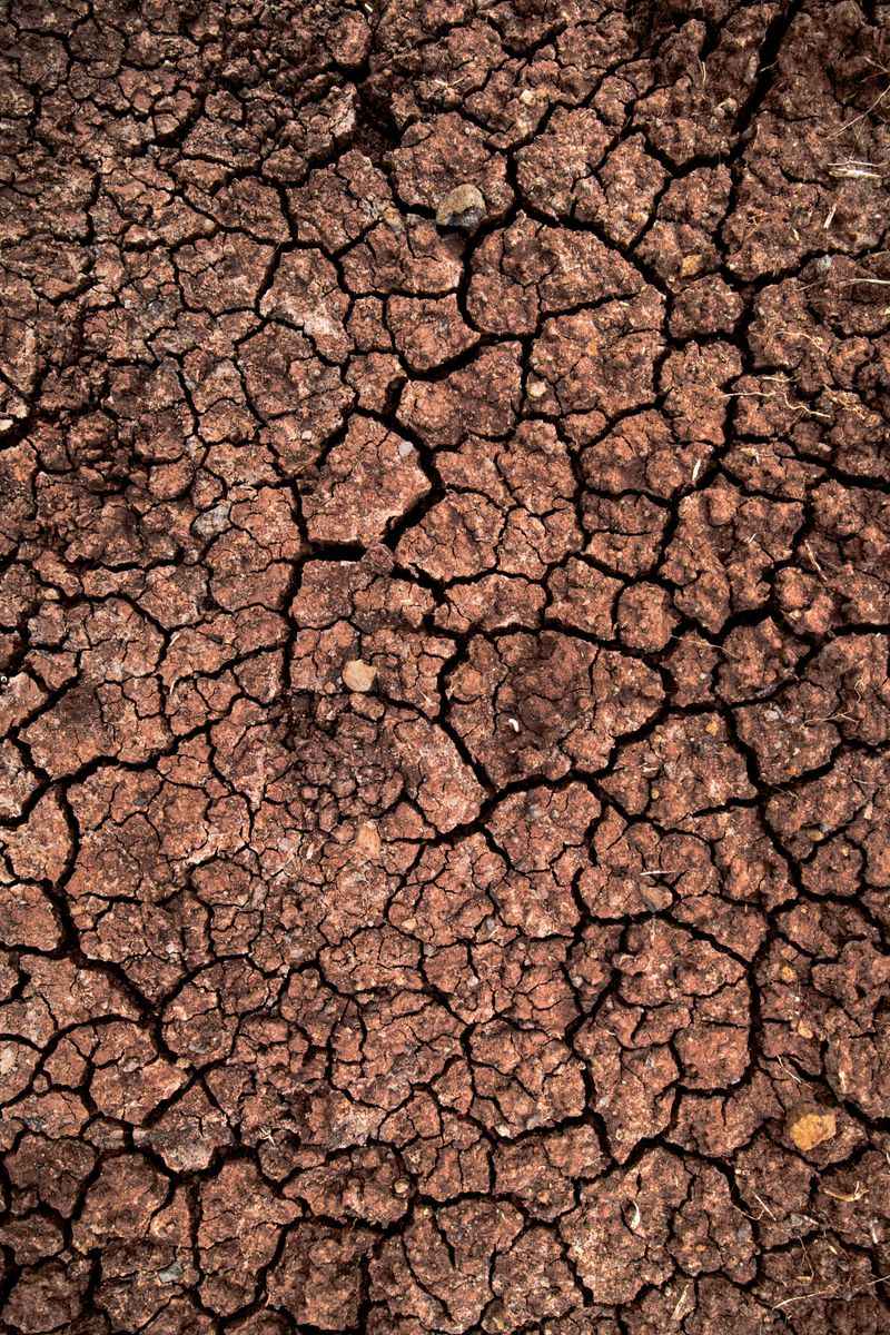 Crusted Soil Forms When Rain And Sun Compact The Surface Crusted Soil Forms When Rain And Sun Compact The Surface
