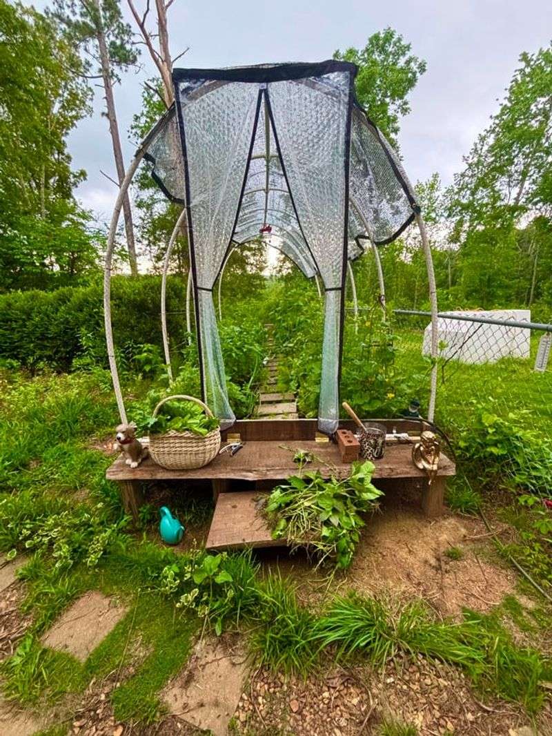 Cucumbers Need Trellis Shade