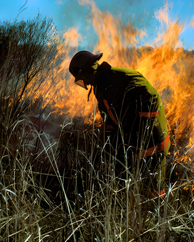 Cured Grass Can Ignite Fast