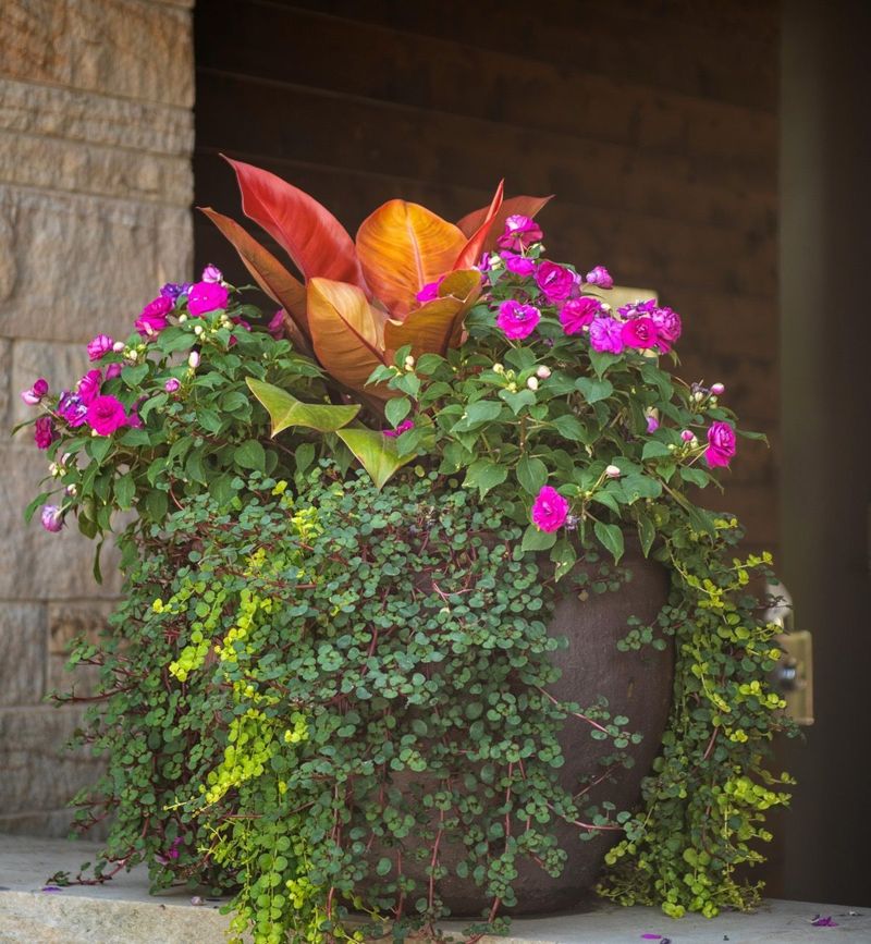 Custom Potting And Pick And Plant Services That Save You The Hassle Custom Potting And Pick And Plant Services That Save You The Hassle