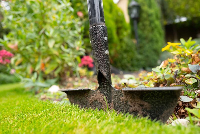 Cut A Clean Trench Where Grass Creeps Fast Cut A Clean Trench Where Grass Creeps Fast