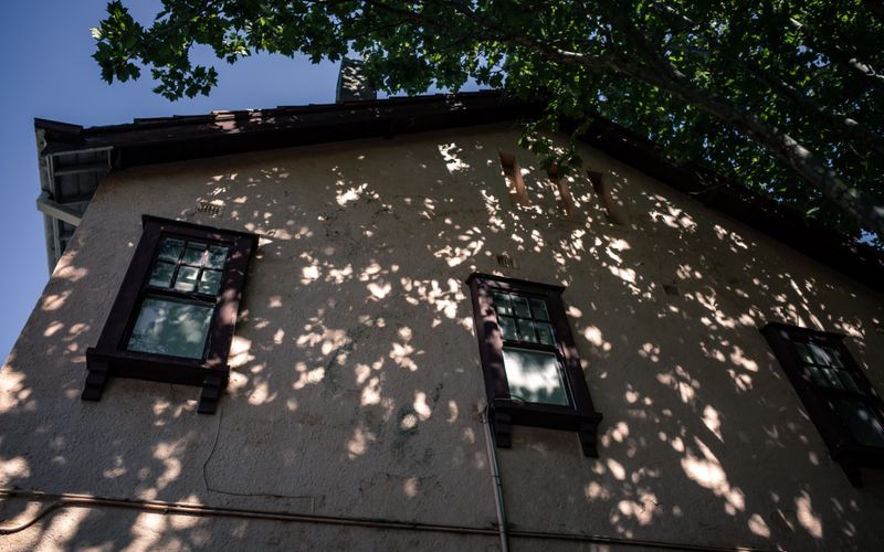 Cut Back Trees Shading The Walls Cut Back Trees Shading The Walls