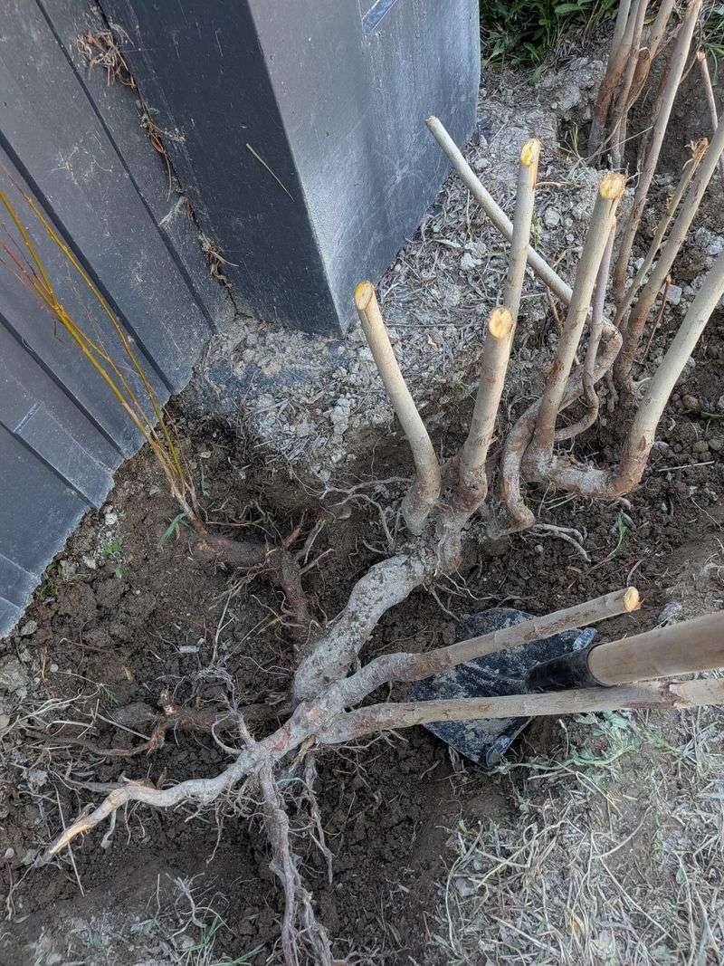 Cutting Alone Rarely Solves The Problem Cutting Alone Rarely Solves The Problem