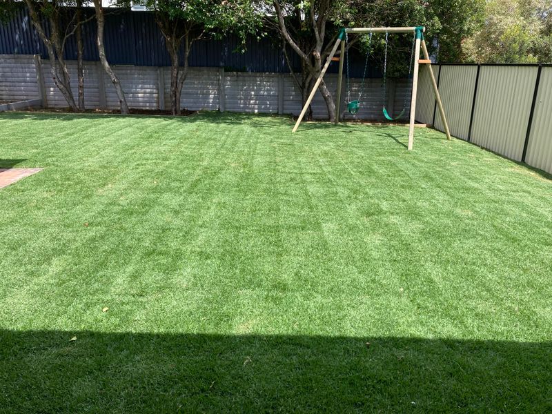 Cutting Zoysia Too Short Is Doing More Harm Than Good